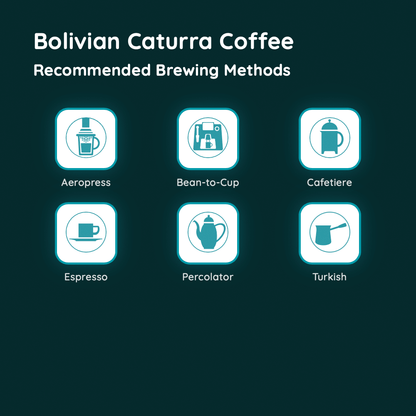 Bolivian Caturra Coffee