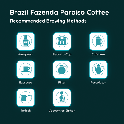 Brazil Fazenda Paraiso Coffee