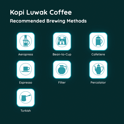 Kopi Luwak Coffee
