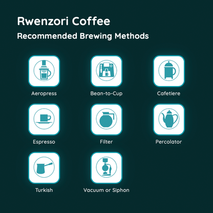 Rwenzori Coffee