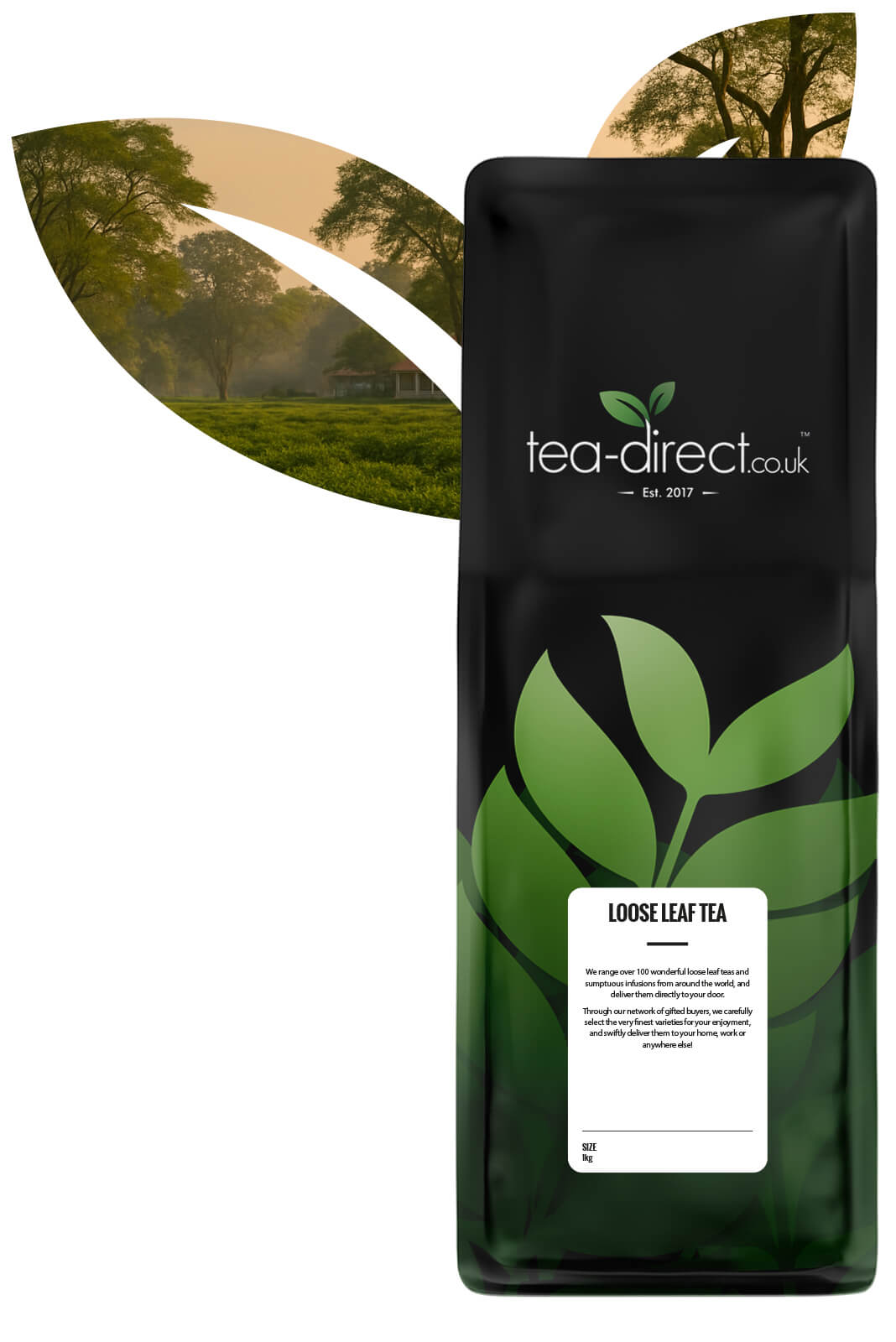Assam Gingia Tea